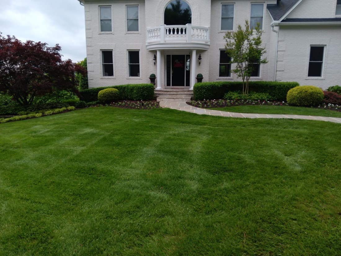 Lawn & Grounds Maintenance